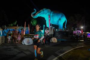 BIB: 
                            <button type="button" onclick="openModal(26552367)" class="btn btn-primary btn-sm float-right btn-popup" data-toggle="modal" data-target=".modal-high-quality">
                        <i class="fas fa-shopping-cart"></i> Add to Cart
                    </button>
                                            <button type="button" onclick="isThisMe(26552367, true)" class="btn btn-success btn-sm float-right btn-popup btn-isme hidden" data-toggle="tooltip" data-placement="bottom" title="นี่คือรูปของคุณใช่ไหม คลิกที่นี่เพื่อเอาเข้าอัลบั้ม">
                        <i class="fas fa-plus"></i> Add to album
                    </button>
                    <button type="button" onclick="isThisMe(26552367, false)" class="btn btn-warning btn-sm float-right btn-popup btn-isnotme hidden">
                        <i class="fas fa-ban"></i> Remove from album
                    </button>